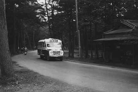 井の頭公園付近　公園通り（1953年）