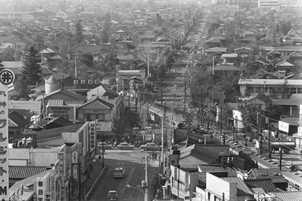 井の頭通りと中央線（1966年）