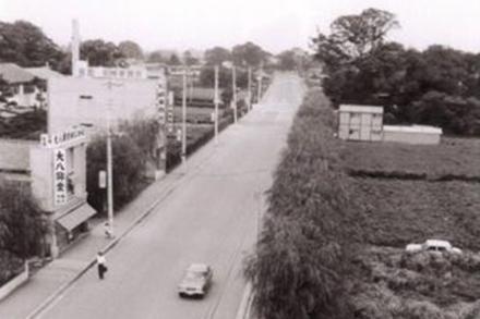 武蔵境駅南口　かえで通り（2）（1969年）