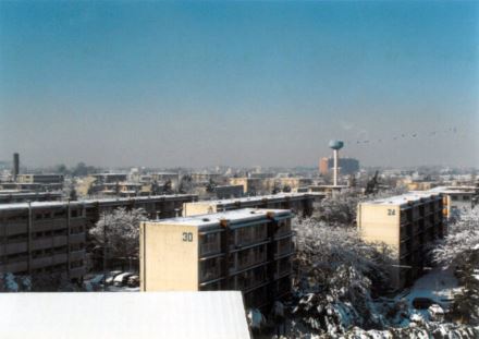 雪景色（1990年）