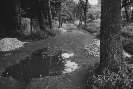 井の頭自然文化園南側道路（1951年）