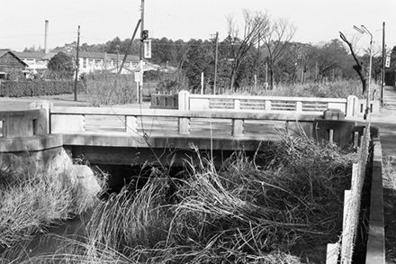 成蹊通りのむらさき橋（1960年）