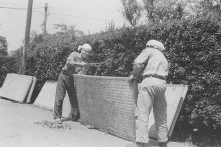 当時はこんな風景が各地でみられた　大掃除（1963年）