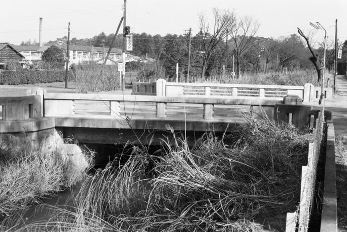 写真：むらさき橋