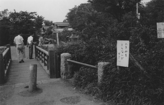 写真：「ホタルをとらないで下さい」の立て札のある小さな橋の様子