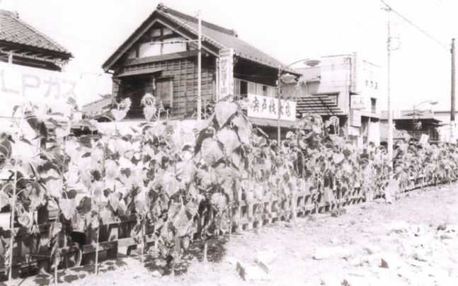 昭和47年武蔵境駅北口（グリーンモール）（1972年）
