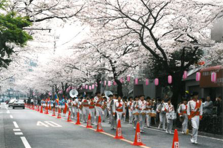 第1回武蔵野桜まつり（1）（1993年）