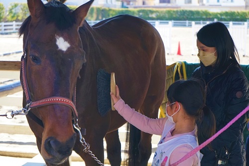 写真：馬と触れあう様子