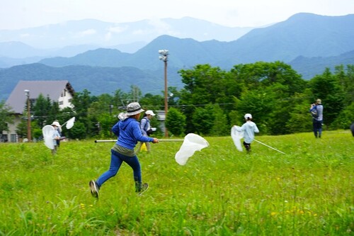 写真：虫取り網を持って高原を走り回る様子