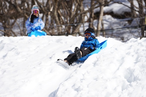 写真：斜面をそりで滑る様子