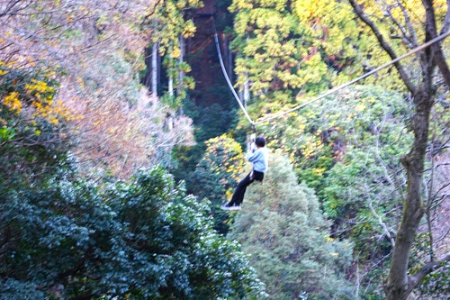 写真：森の中のジップラインに挑戦する様子