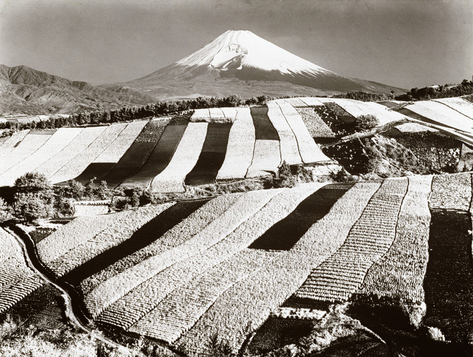 写真：春の田園