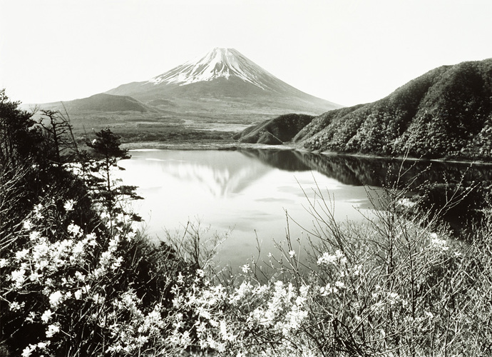 写真：湖畔の春