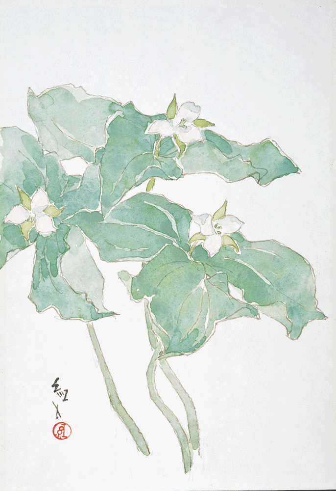 深沢紅子展 野の花によせて｜吉祥寺美術館