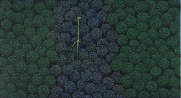 作品:2色のぶどう