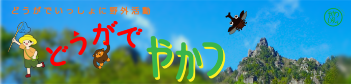 野外活動センター動画チャンネル「どうがでやかつ」リンク（外部リンク・新しいウィンドウで開きます）