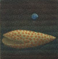 作品:黄色い貝殻