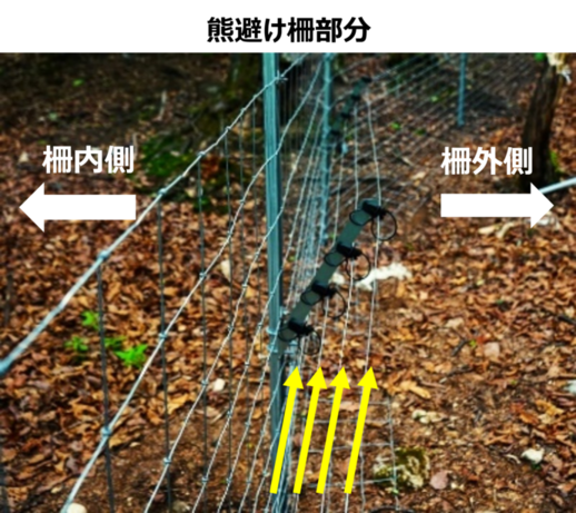 クマ避け電気柵の注意事項