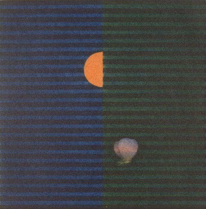 作品:蝶と太陽