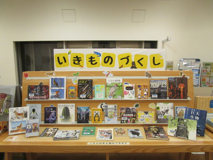 写真：展示の様子