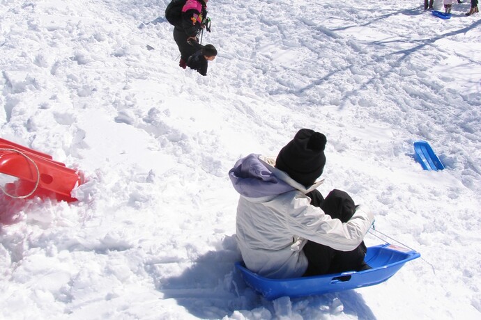 写真：そりで遊ぶ様子