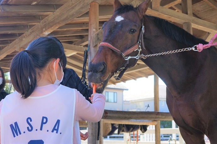 写真：子供が馬に餌をあげる様子
