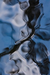 作品　千川上水