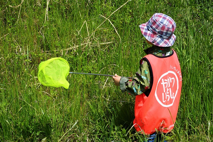 写真:野原で虫取り網を持つ子供