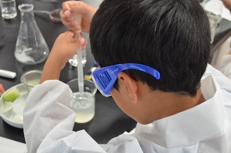 バイオ実験教室