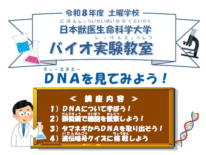バイオ実験教室