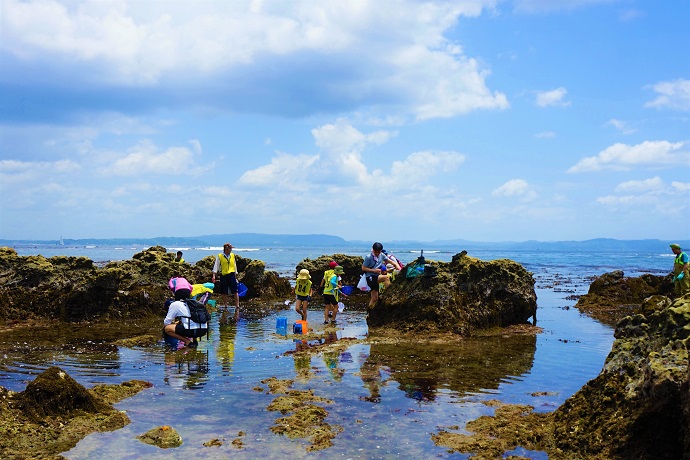 写真：磯遊びの様子