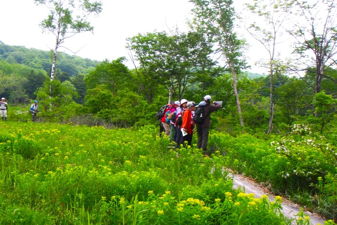 写真：湿原散策をする様子