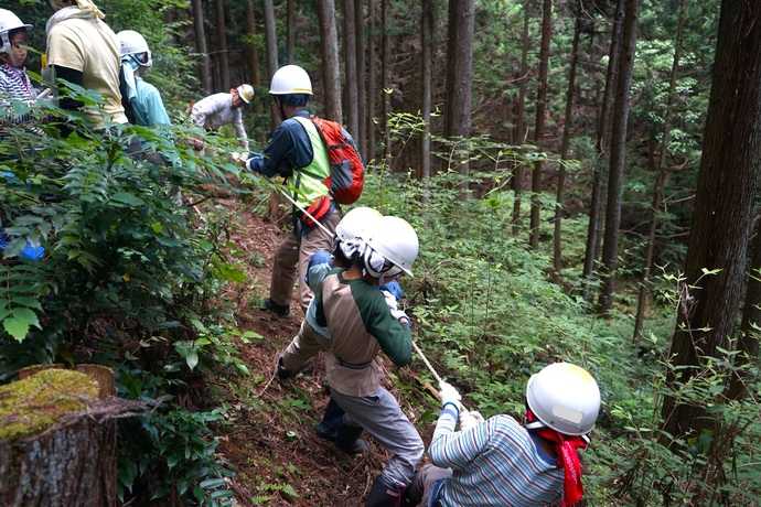 写真：森の中でくわを使う子供たち