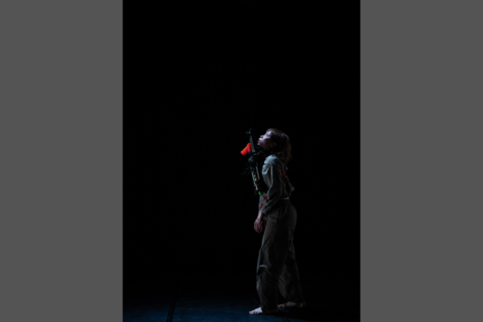 平田鱈過去公演1