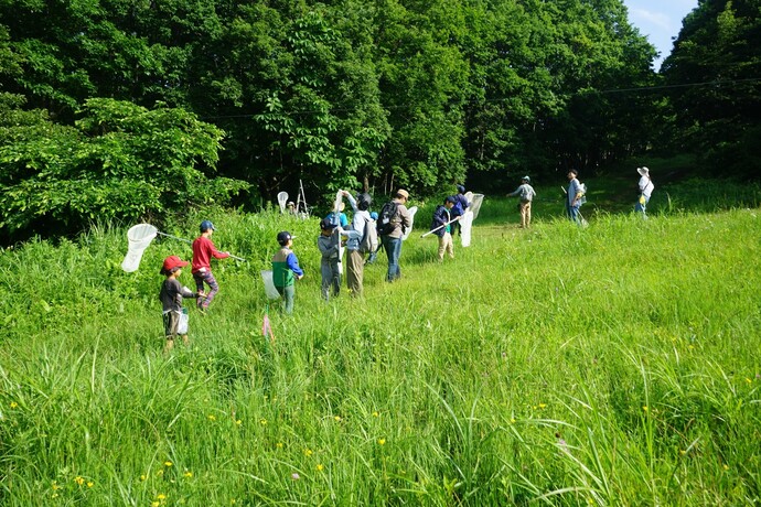写真：自然のなかで虫取り網を持つ親子