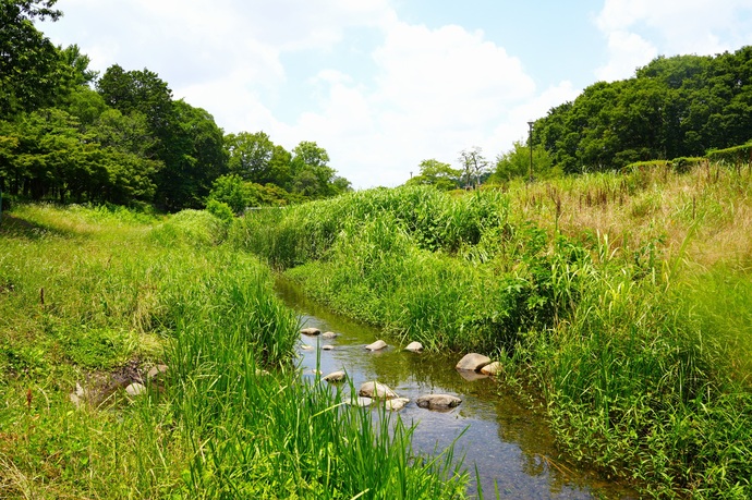 画像：野川