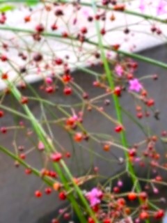 草