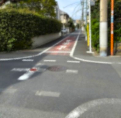 武蔵野市内