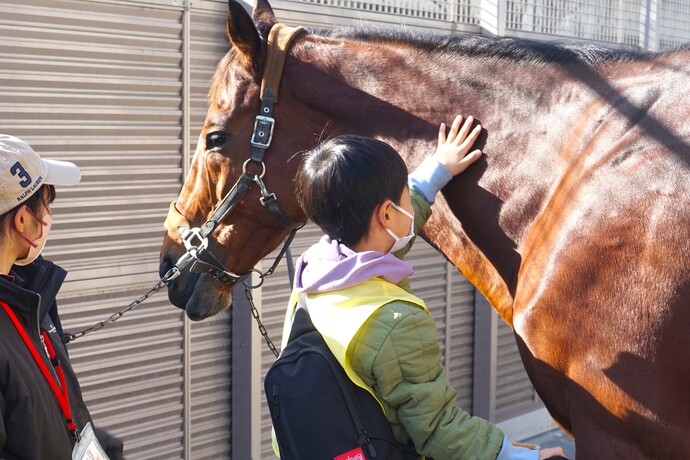 写真：子供が馬をなでる様子